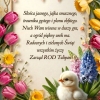 Radosnych Świąt Wielkanocnych 🐣