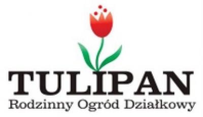 Dożynki 2020